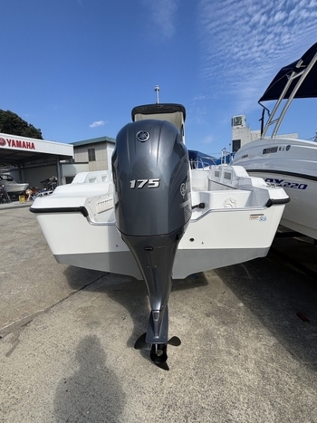 thumb_095688-yamaha-f-a-s-t-26