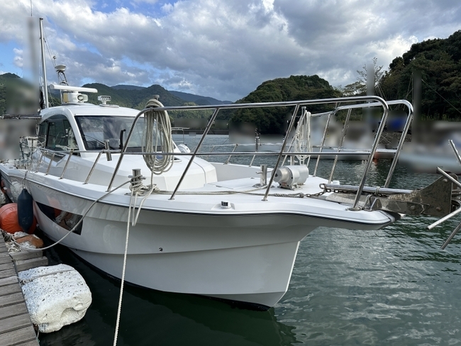 medium_095692-yanmar-ex38a