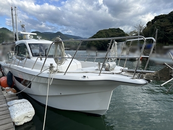 thumb_095692-yanmar-ex38a
