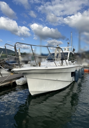 thumb_095692-yanmar-ex38a
