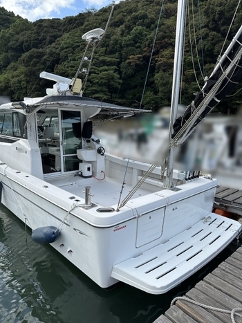 thumb_095692-yanmar-ex38a