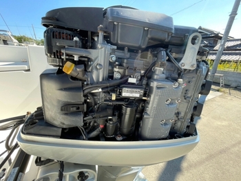 thumb_095701-nissan-wing-fisher-27