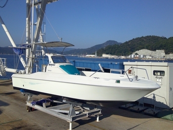 thumb_095730-yanmar-lf24z