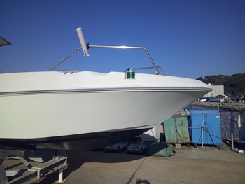 thumb_095730-yanmar-lf24z