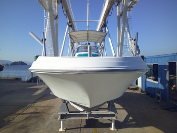 thumb_095730-yanmar-lf24z