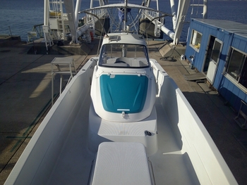 thumb_095730-yanmar-lf24z