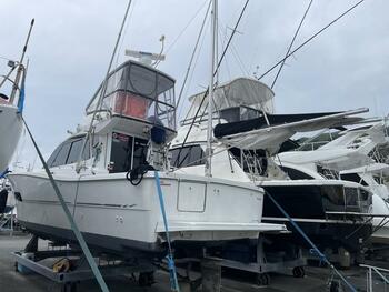 thumb_095713-yanmar-ex33iifb