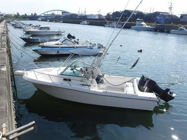 medium_095743-ocean-runner-233