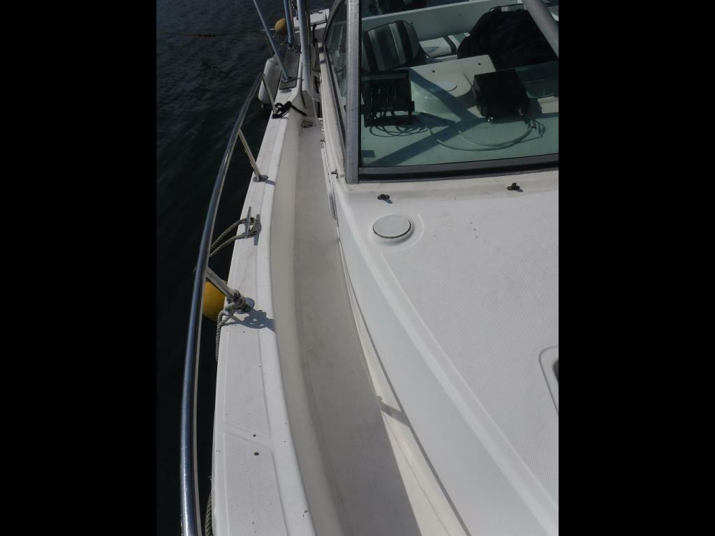 banner_095743-ocean-runner-233