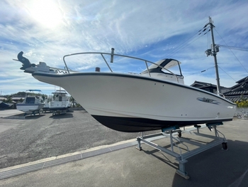 thumb_095746-yamaha-yf-21