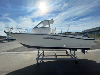 thumb_095746-yamaha-yf-21