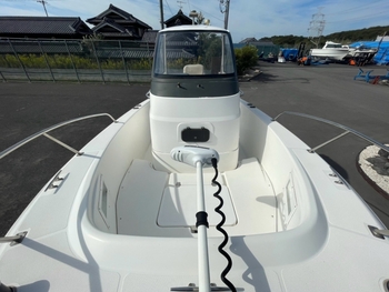 thumb_095746-yamaha-yf-21