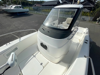 thumb_095746-yamaha-yf-21