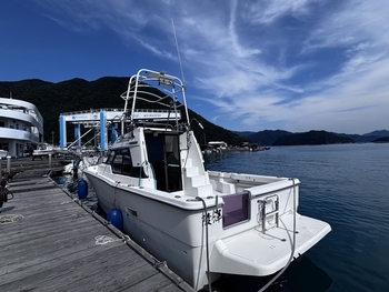 thumb_095747-yamaha-fc-31