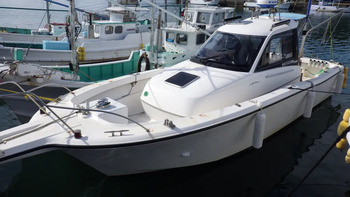 thumb_095759-yamaha-uf-29hp