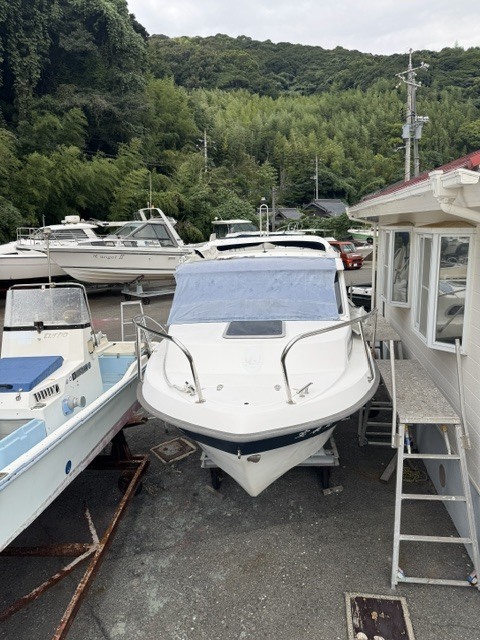 medium_095769-bella-703