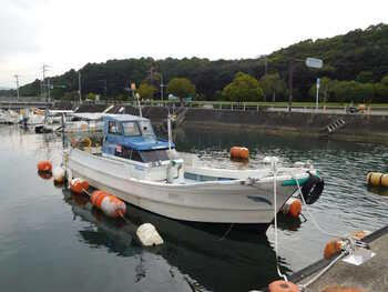 thumb_095794-yamaha-dy-32g