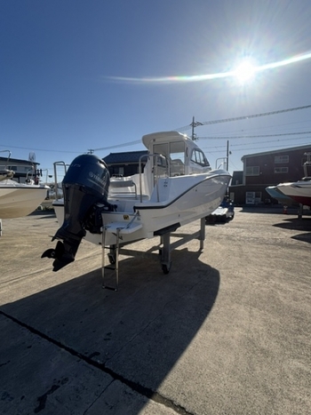 thumb_095800-yamaha-yfr-24ex