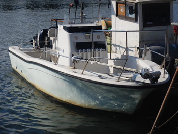 thumb_095804-yanmar-ef23