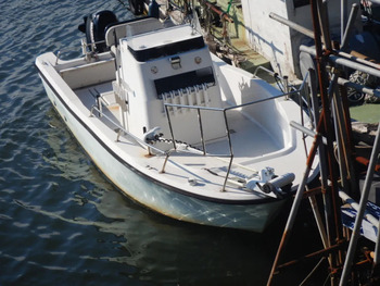 thumb_095804-yanmar-ef23