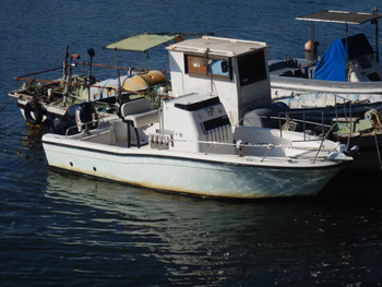 thumb_095804-yanmar-ef23