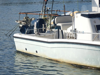 thumb_095804-yanmar-ef23