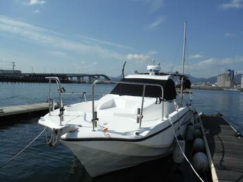 thumb_095806-yamaha-yfr-27