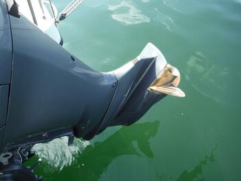thumb_095806-yamaha-yfr-27