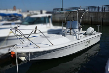 thumb_095816-yamaha-ff-20