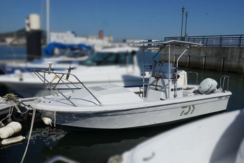thumb_095816-yamaha-ff-20