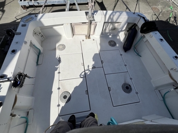 thumb_095821-yanmar-ex33iifb