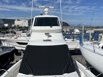 thumb_095821-yanmar-ex33iifb