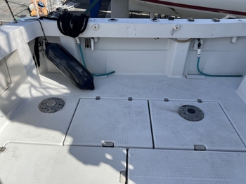 thumb_095821-yanmar-ex33iifb