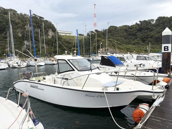 thumb_095828-yamaha-yf-23