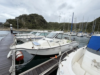 thumb_095828-yamaha-yf-23