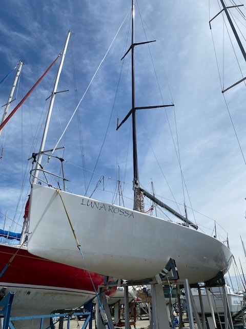 banner_095836-nelson-marek-10