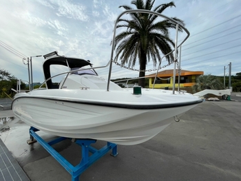 thumb_095844-yamaha-sr-x