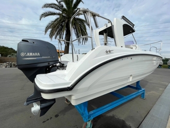 thumb_095844-yamaha-sr-x