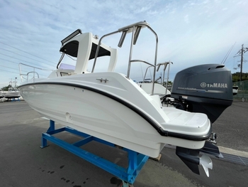 thumb_095844-yamaha-sr-x