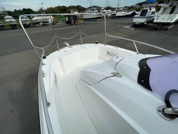 thumb_095844-yamaha-sr-x