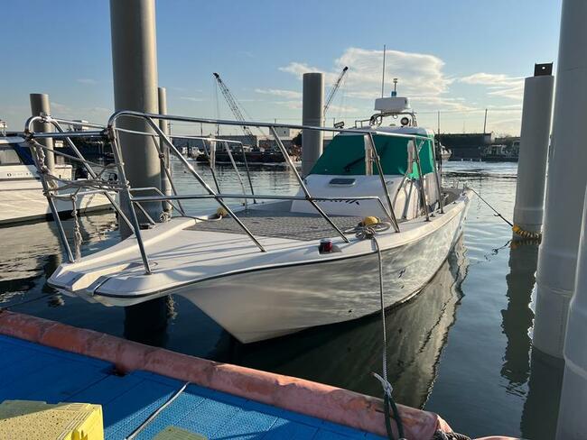 YANMAR EX29