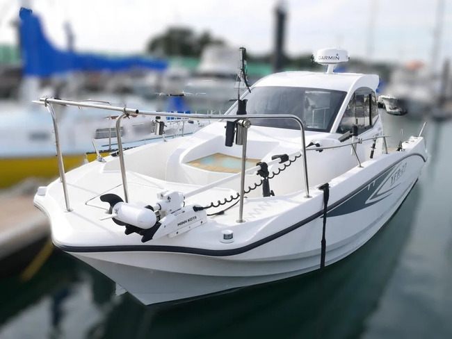 YAMAHA YFR-27 EX FSR