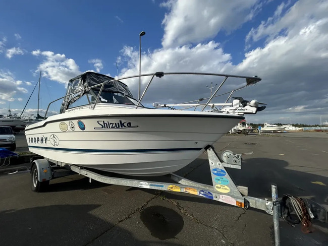 BAYLINER 2002 TROPHY