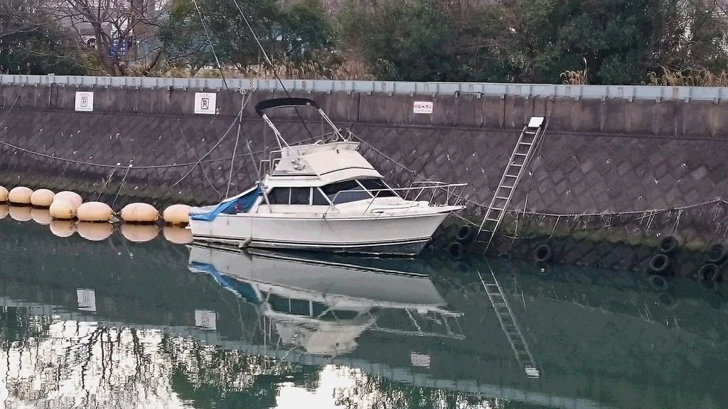 CARIBBEAN BERTRAM 25 スターンドライブ 中古艇情報 | Boatflow.jp